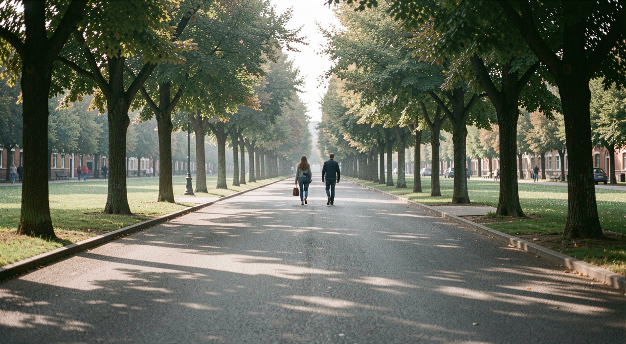 A wide tarmac path through a city park in the morning with two walkers in the middle distance and plane trees on either side